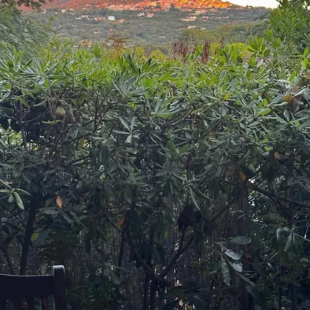Casa Di Lola * Casa Buraccio