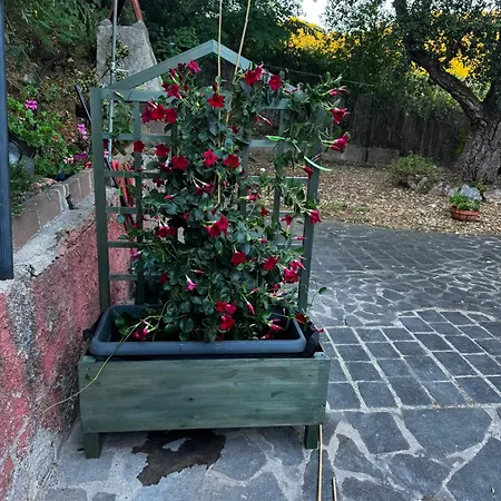 Casa Di Lola * Casa Buraccio